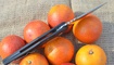 nozh realsteel echo 9841 internet magazin