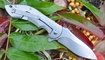 купить Нож Kizer Alter Ego Ki4492