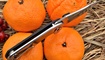 nozh realsteel 3001 precision 5121 mariupol