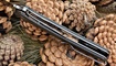 gt956 black