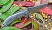 Нож Kizer Alter Ego Ki4492 тест