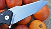nozh realsteel echo 9841 obzor