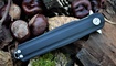 купить нож CH Outdoor CH3505 G10
