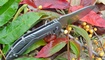 Нож Kizer Alter Ego Ki4492 обзор