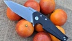 nozh realsteel echo 9841 otzyvy