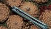 nozh ch 3002 nefrit nozheman