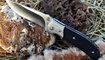 nozh steelclaw rezervist kupit v ukraine
