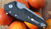 nozh realsteel echo 9841 zakazat