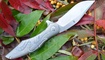Нож Kizer Trifecta Ki5462A2 купить
