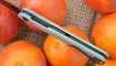 nozh realsteel g5 metamorph nefrit ostap hel