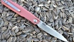 Нож Real Steel G5 Metamorph Gold Rose 7833 купить