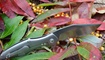 Нож Kizer Trifecta Ki5462A2 цена