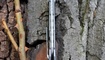 нож Two Sun TS56 Киев