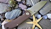 купить нож CH3504 G10