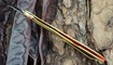 nozh realsteel realslim rose 7932 nedorogo