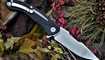 nozh ch outdoor ch3519 g10 luchshaya tsena