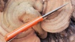 kupit skladnoy nozh realsteel luna lite orange 7036 v ukraine