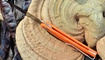 skladnoy nozh realsteel luna lite orange 7036 otzyvy