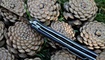 купить нож CH Outdoor CH3001 G10