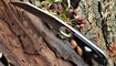 gorodskoy kerambit sanrenmu s615 tsena