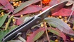 Нож Kizer Hustler Ki5464A1 фото