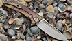 nozh venom new concept testy