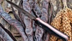 nozh realsteel bushcraft 3 convex 3725c obzor