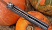nozh twosun ts16 g10 otzyvy