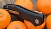 nozh bestech scimitar foto