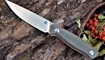 nozh realsteel arbiter premium 3814 obzor