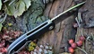 нож CH Outdoor CH3504 G10 фото