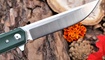 skladnoy nozh eafengrow ef56 green lviv