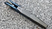 Maxace Ptilopsis