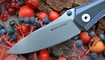 купить Нож Real Steel E802 Horus 7432