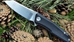 nozh stedemon knives zkc c02 luchshaya  tsena
