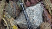 Нож Bear Claw ST003 официальный сайт