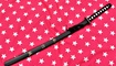 suvenirnaya katana kupit