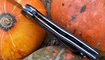 nozh twosun ts42 g10 nedorogo