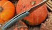 nozh twosun zenith ts 27 tt zakazat