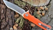 skladnoy nozh twosun ts124-g10 obzor