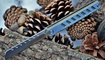 складной нож Long Swordsman отзывы