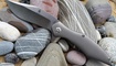 Нож Kizer Trifecta Ki5462A1 Винница