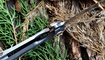 nozh real steel 3606f element original