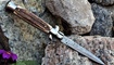 italyanskiy stilet akc 9 damascus stag horn odessa