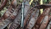 Нож CRKT Tighe Tac Tanto в Киеве