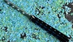 trenirovochnyy balisong the one bm40 kiev