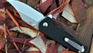 nozh kizer junges v3551n1 magazin nozheman