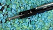 trenirovochnyy balisong the one bm40 zakazat
