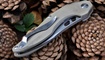 реплика Brous Blades Isham Raven Flipper купить в интернет магазине