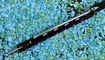 trenirovochnyy balisong the one bm40 prodazha
